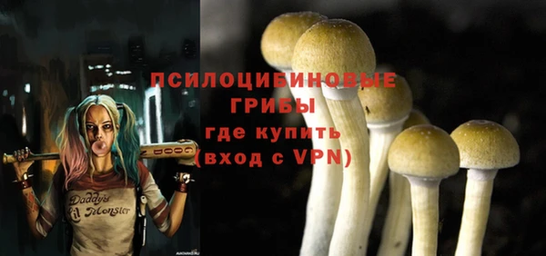 соль ск Балабаново